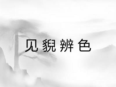 见貎辨色 见貎辨色
