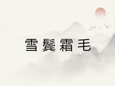 雪鬓霜毛