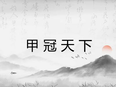 甲冠天下