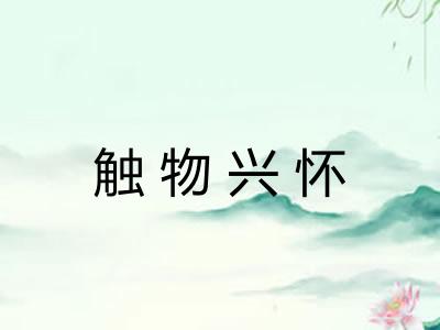 触物兴怀 触物兴怀
