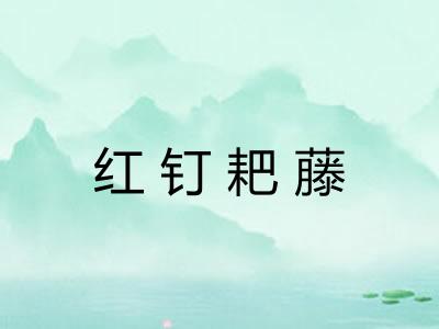 红钉耙藤