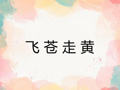 飞苍走黄