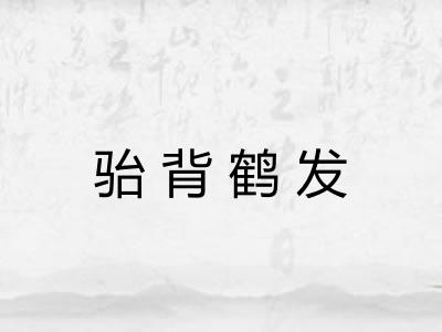 骀背鹤发