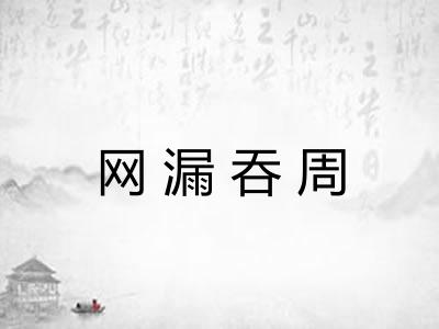 网漏吞周