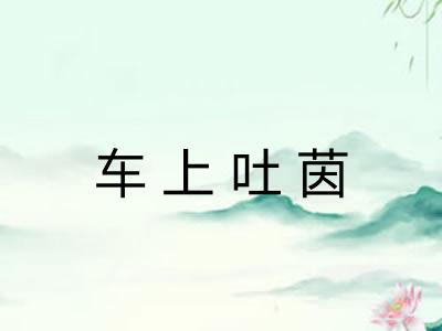 车上吐茵 车上吐茵