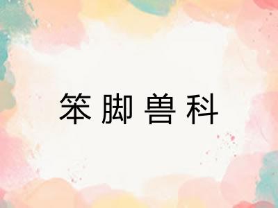 笨脚兽科