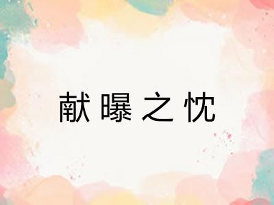 献曝之忱