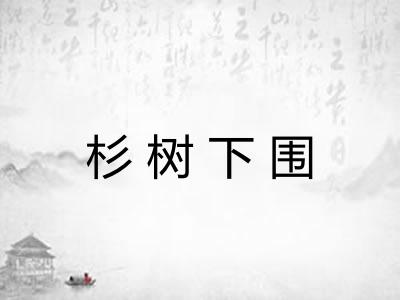 杉树下围