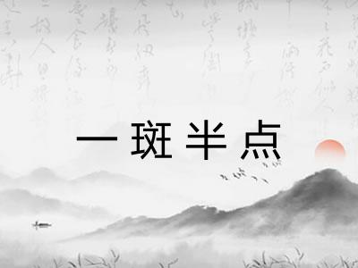 一斑半点