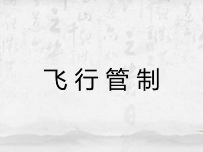 飞行管制 飞行管制