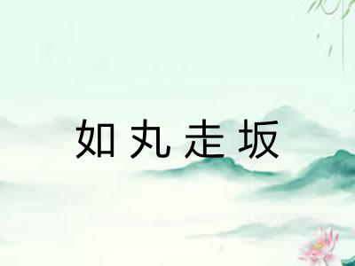 如丸走坂 如丸走坂