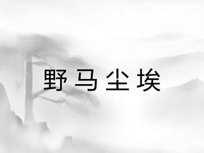 野马尘埃 野马尘埃