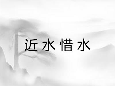 近水惜水