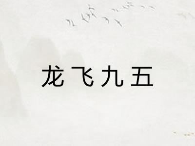 龙飞九五