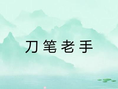 刀笔老手