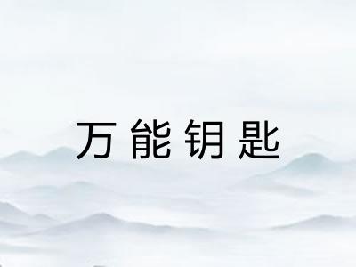 万能钥匙 万能钥匙