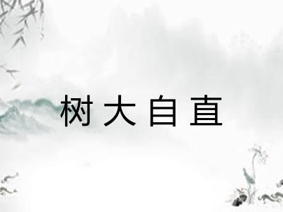树大自直