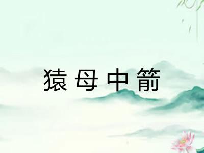 猿母中箭 猿母中箭