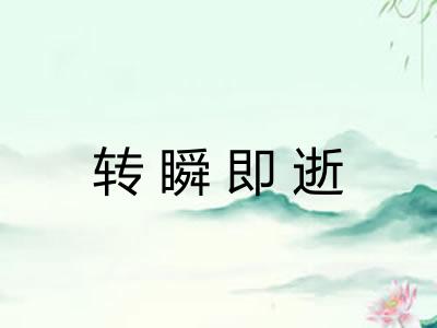 转瞬即逝