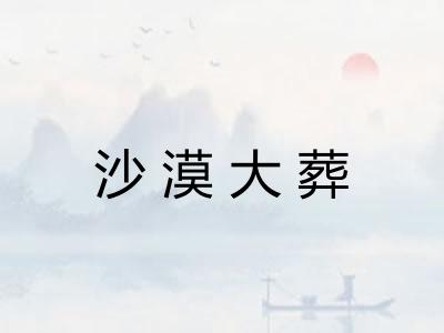 沙漠大葬 沙漠大葬