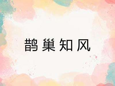 鹊巢知风 鹊巢知风