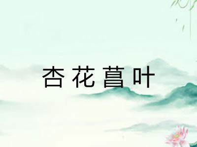 杏花菖叶