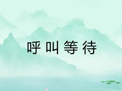 呼叫等待 呼叫等待