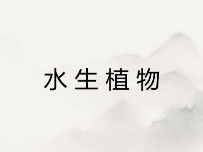 水生植物
