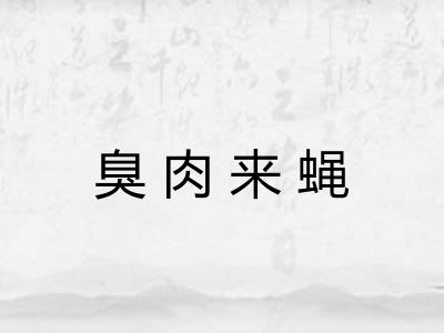 臭肉来蝇 臭肉来蝇