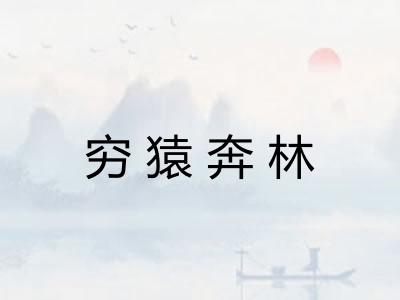 穷猿奔林 穷猿奔林