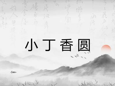 小丁香圆