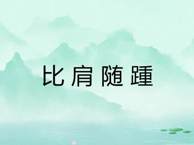 比肩随踵