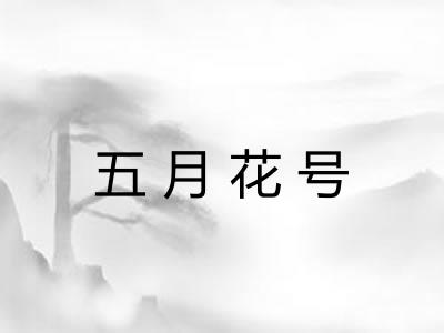 五月花号