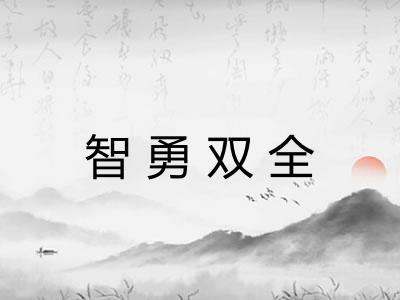 智勇双全 智勇双全