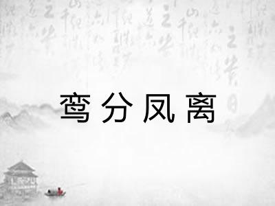 鸾分凤离 鸾分凤离
