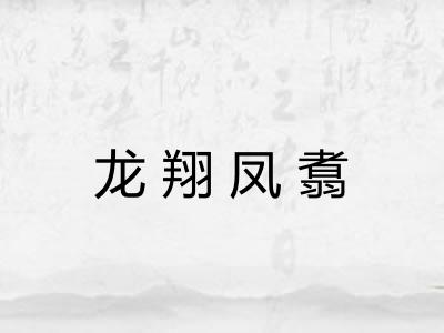 龙翔凤翥 龙翔凤翥