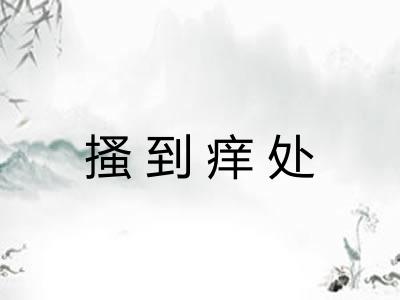 搔到痒处 搔到痒处