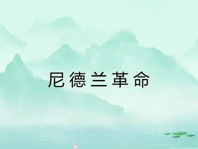 尼德兰革命