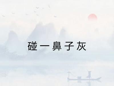 碰一鼻子灰 碰一鼻子灰