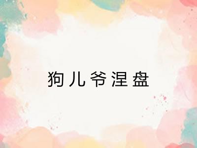 狗儿爷涅盘 狗儿爷涅盘