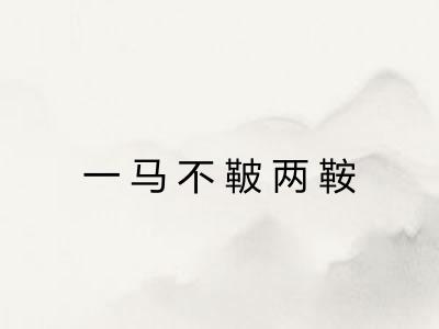 一马不鞁两鞍