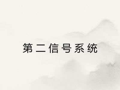 第二信号系统