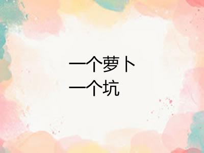 一个萝卜一个坑