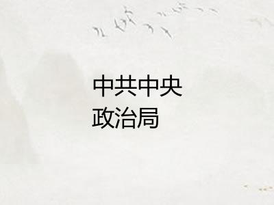 中共中央政治局 中共中央政治局