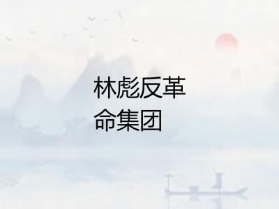 林彪反革命集团