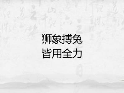 狮象搏兔皆用全力