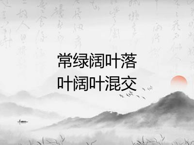 常绿阔叶落叶阔叶混交林 常绿阔叶落叶阔叶混交林